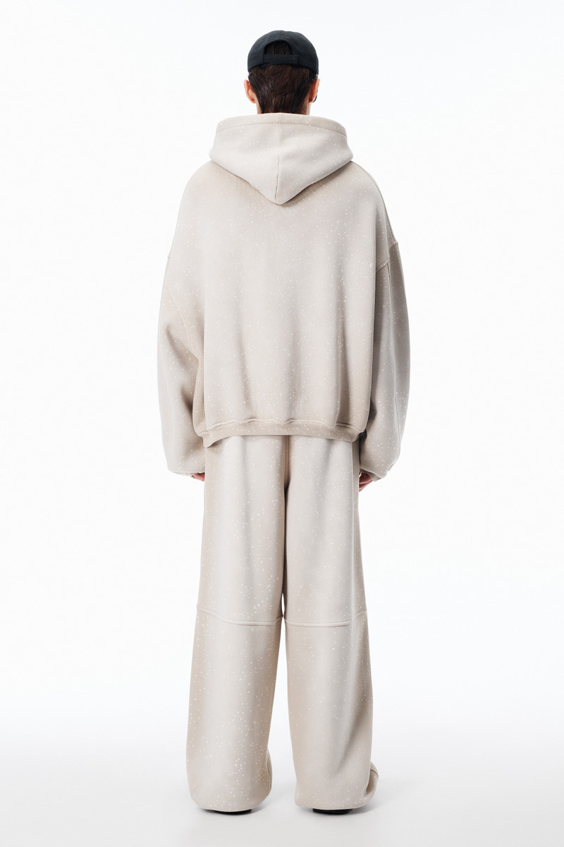 Crystal Washed Terry Zip Hoodie 4