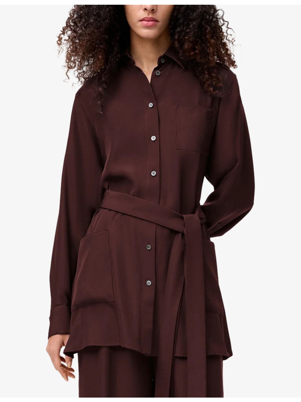 Pointed-Collar Belted Silk Blouse - 3