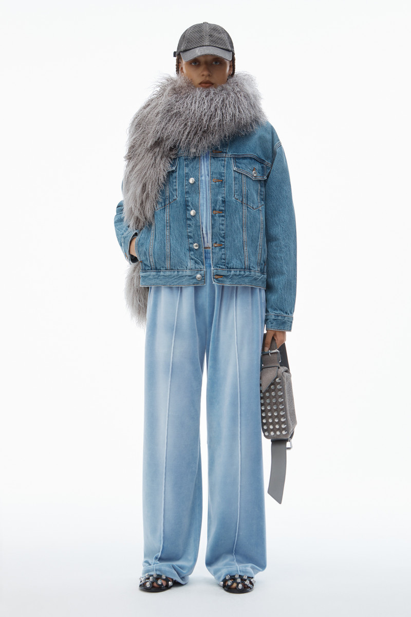 Alexander Wang Trackpants in Crushed Velour outlook