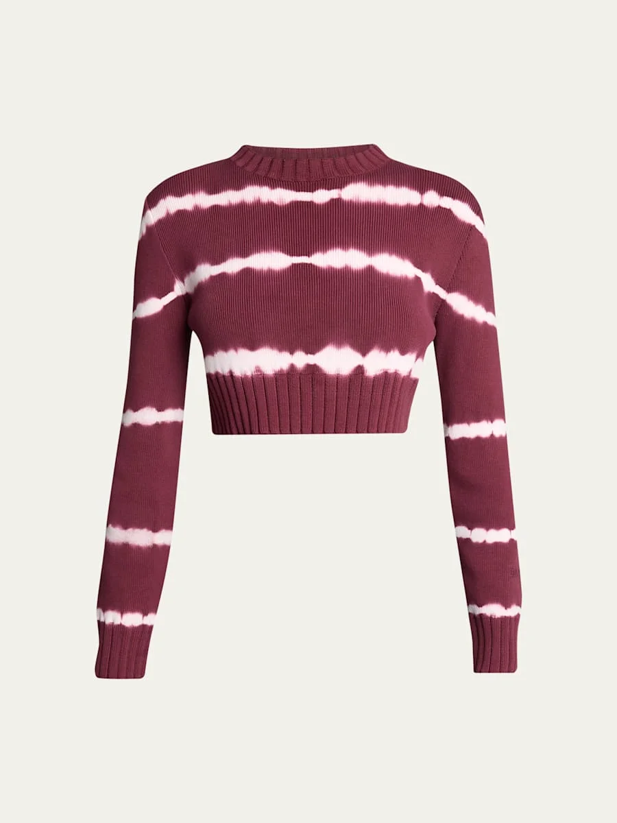 Bleach Striped Crop Crewneck Sweater - 1