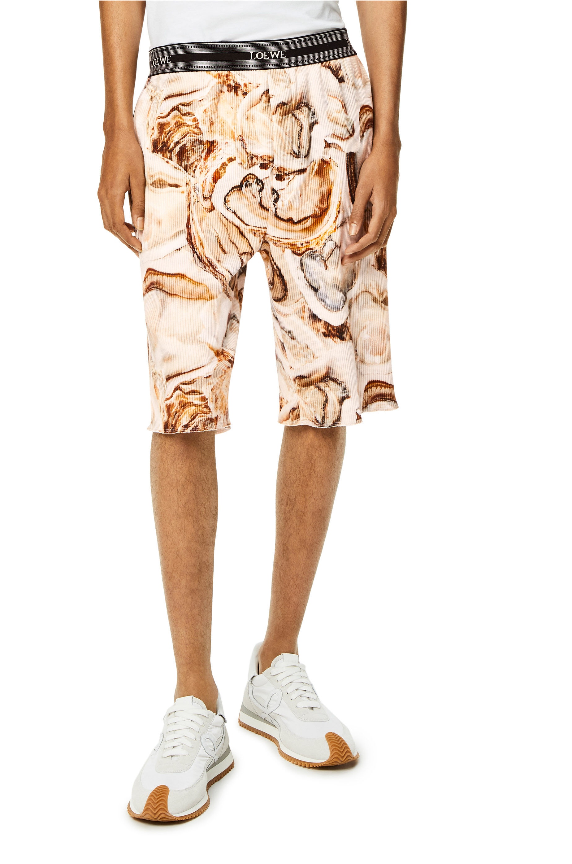 Oyster ribbed shorts in cotton - 3