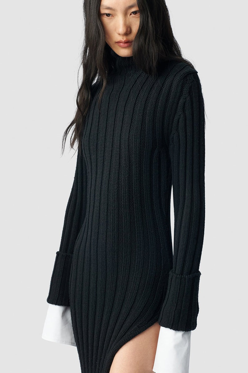 Cyntia Long Asymmetric High Neck Sweater 5