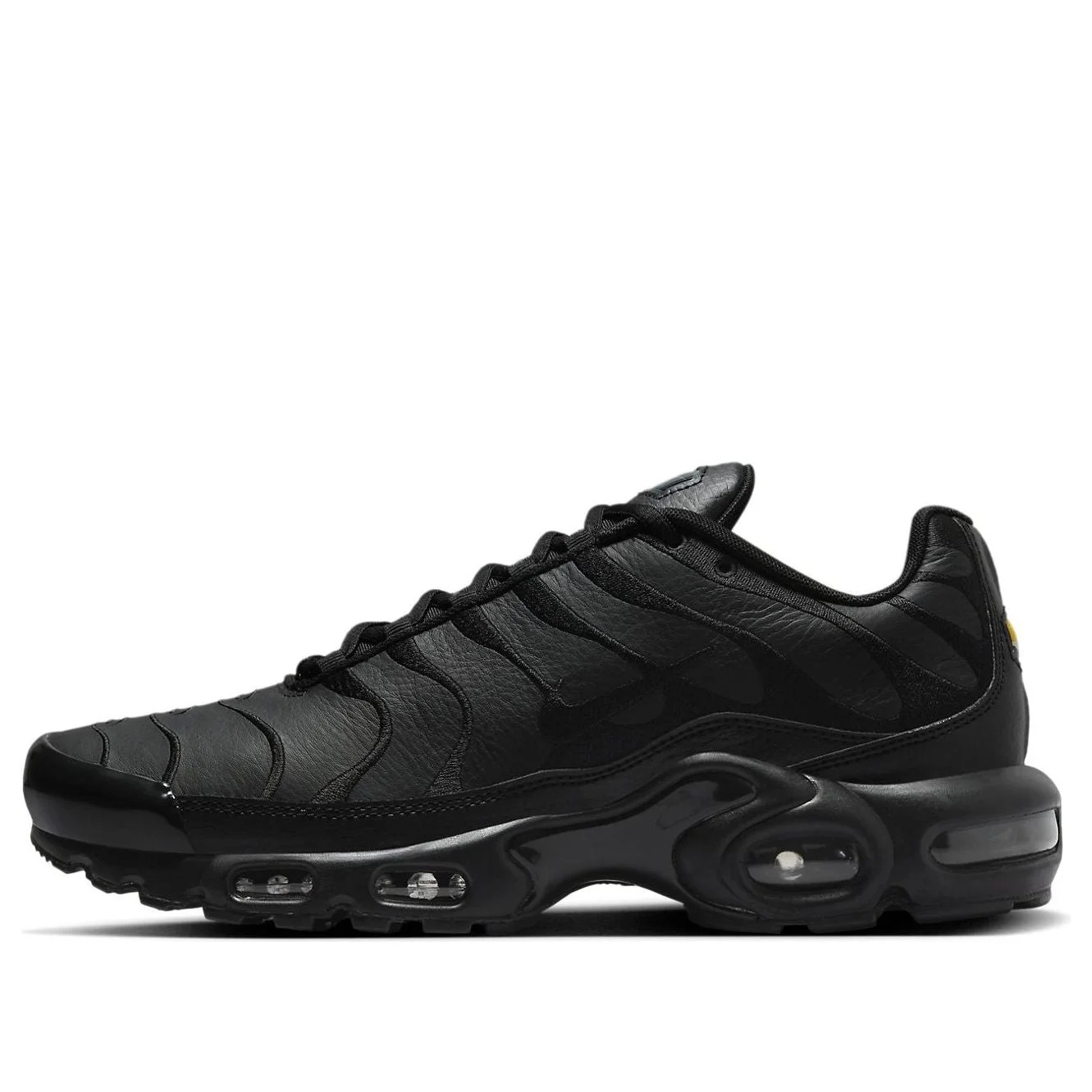 Nike Air Max Plus TN 'Triple Black' AJ2029-001 - 1