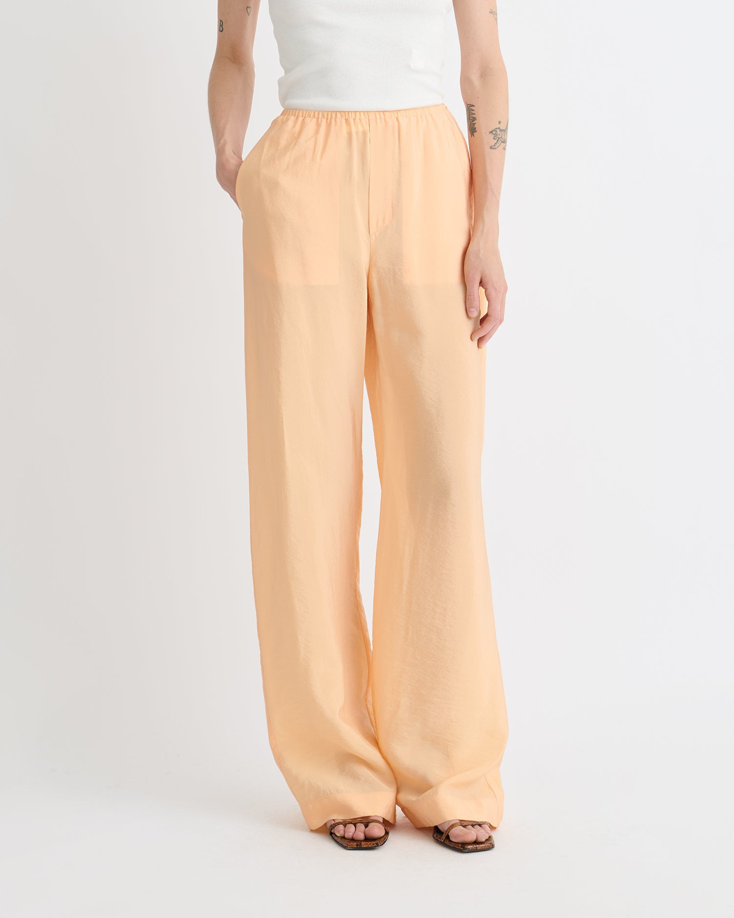Crepe Organza Pants - 4