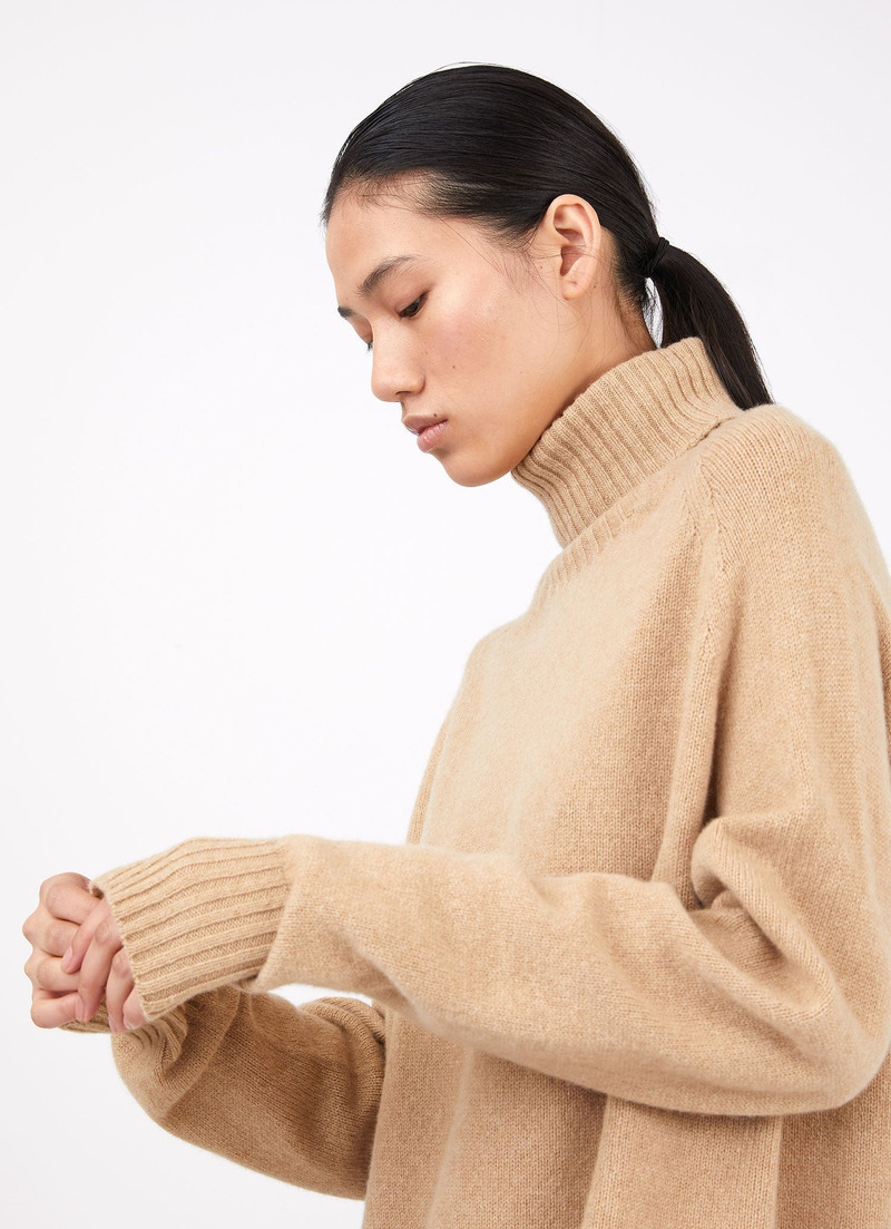 Lambswool Roll Neck Dress 3