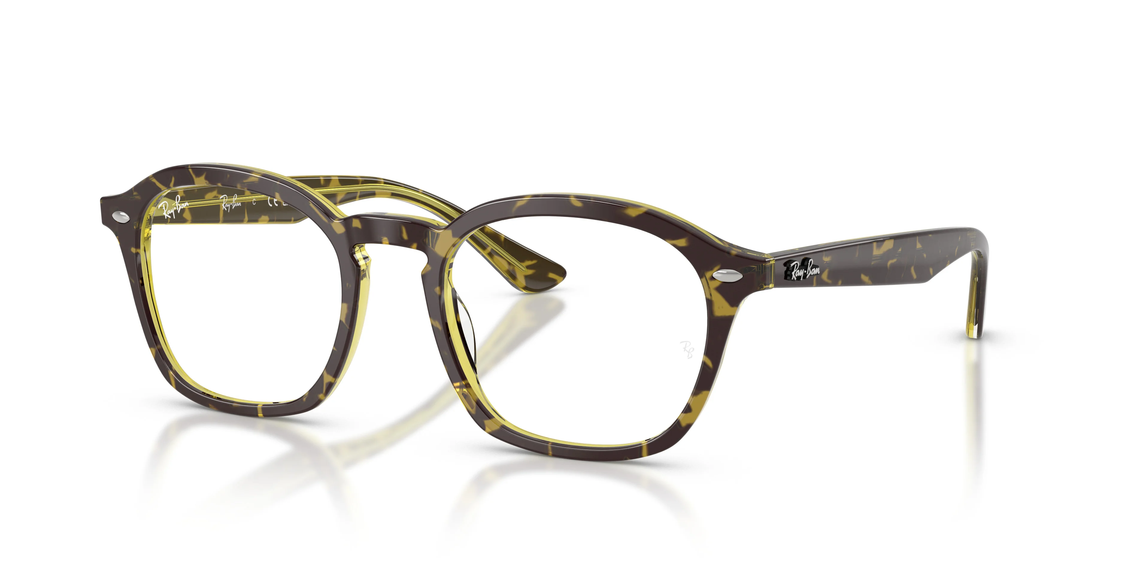 RB5451 OPTICS - 1