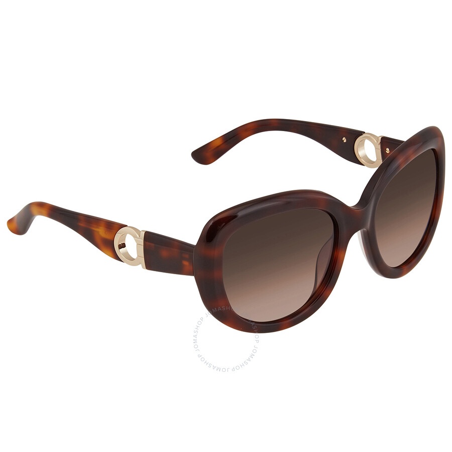 Salvatore Ferragamo Brown Oval Ladies Sunglasses SF727S 214 53 - 3