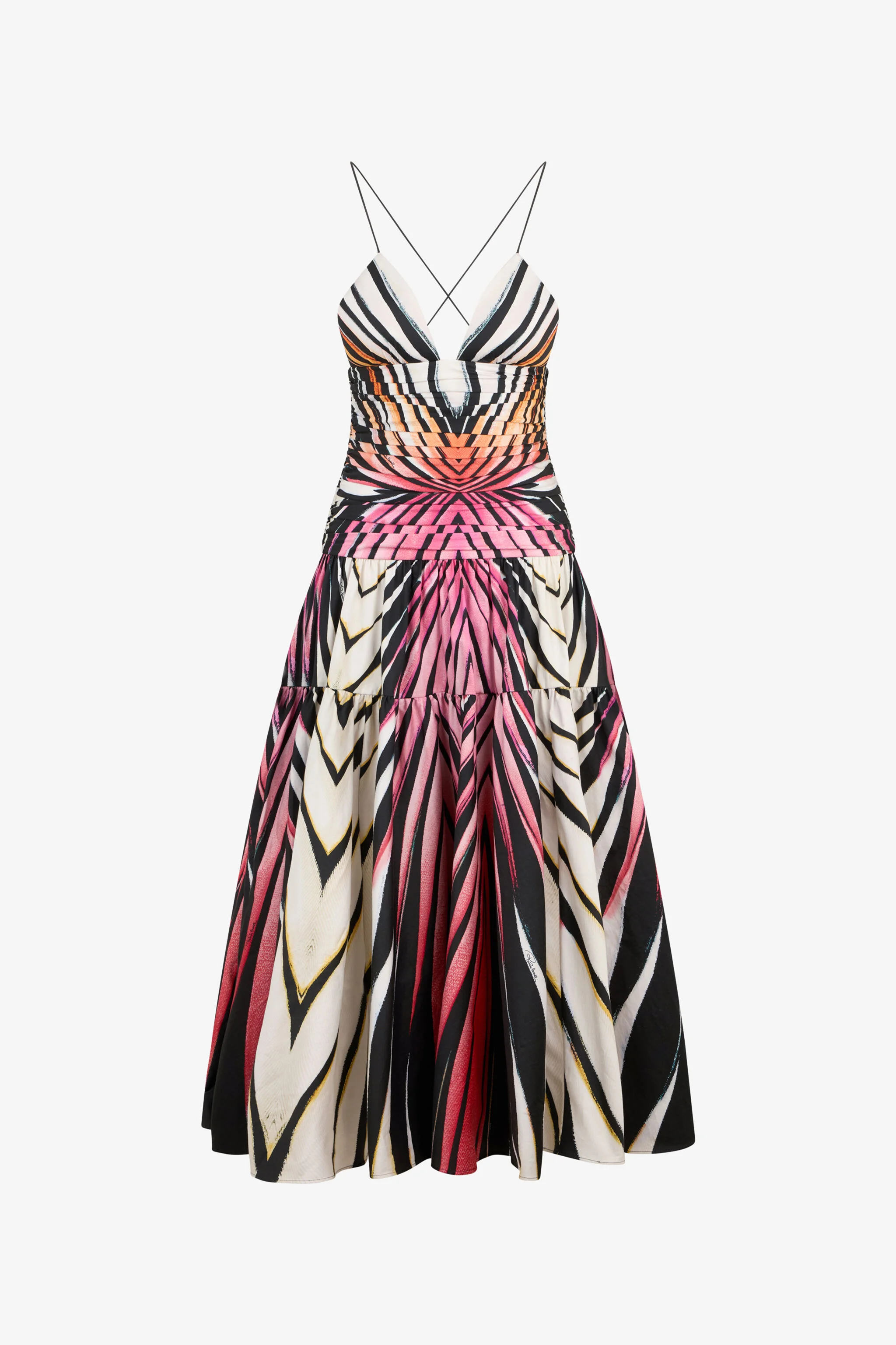 Ray Of Paradise Print Midi Dress - 1