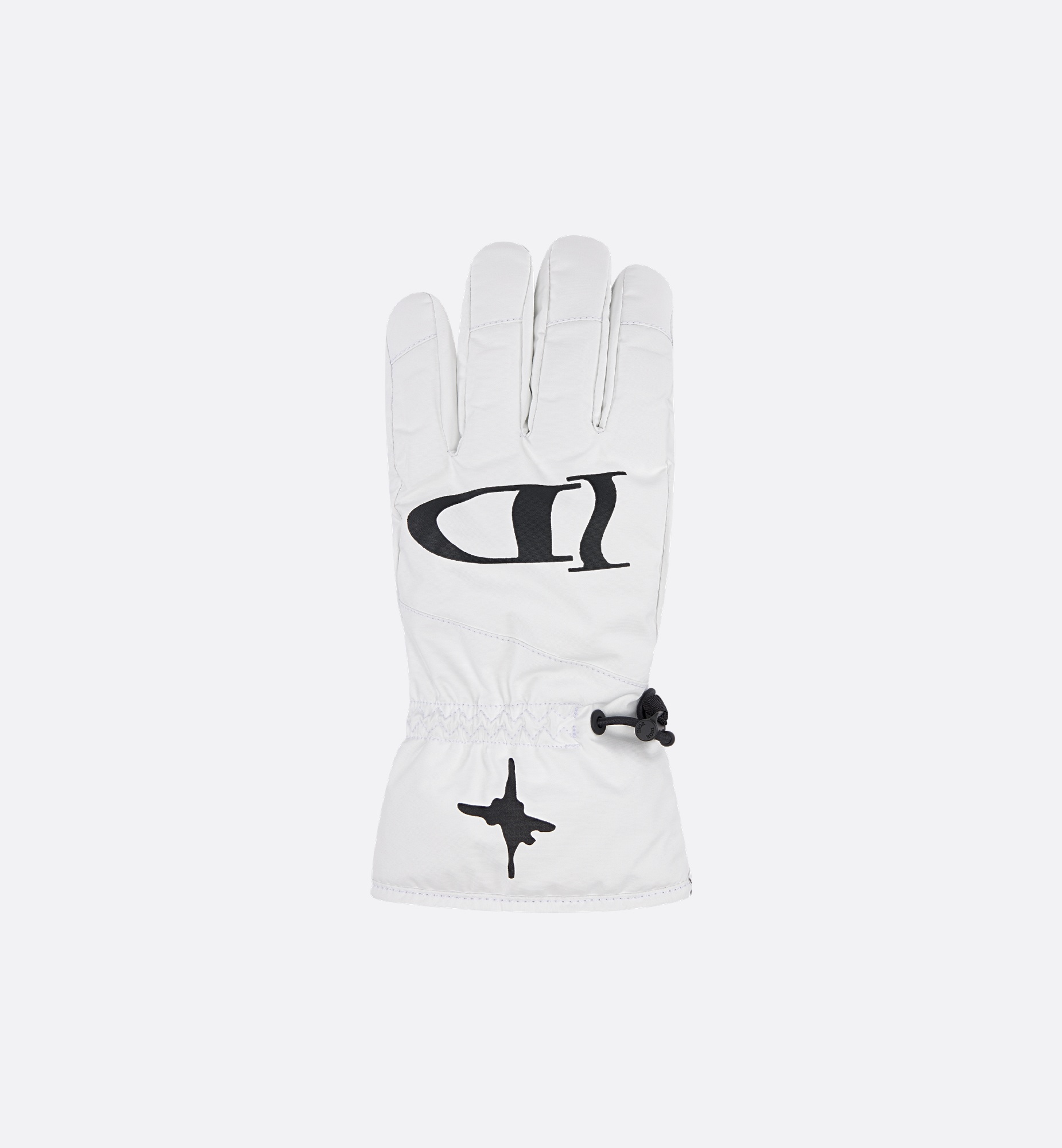 DIOR AND LEWIS HAMILTON Ski Gloves - 5