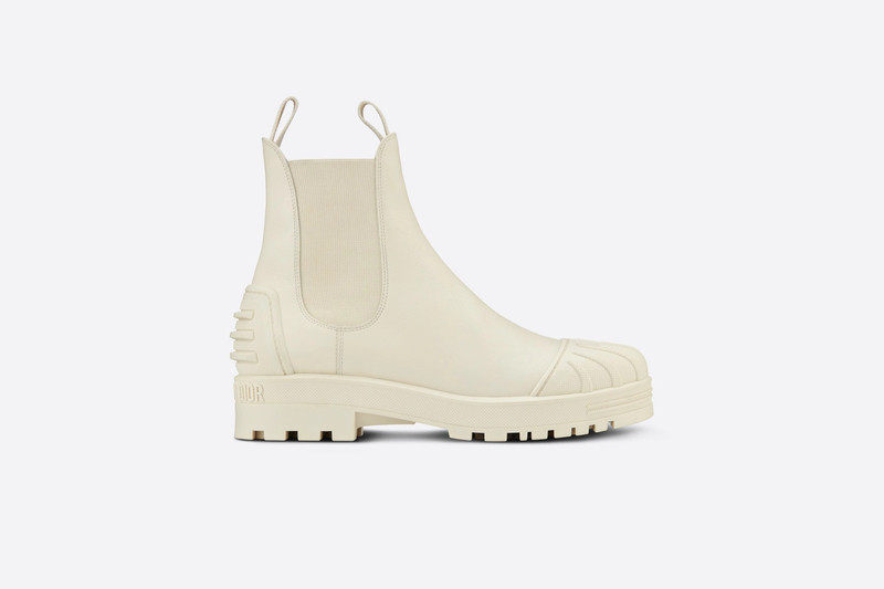 DiorIron Ankle Boot 1