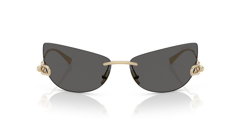 Tiffany & Co. TF3112K outlook