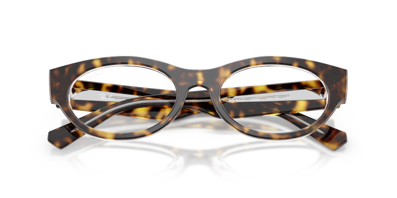 Ray-Ban RB5447 OPTICS outlook