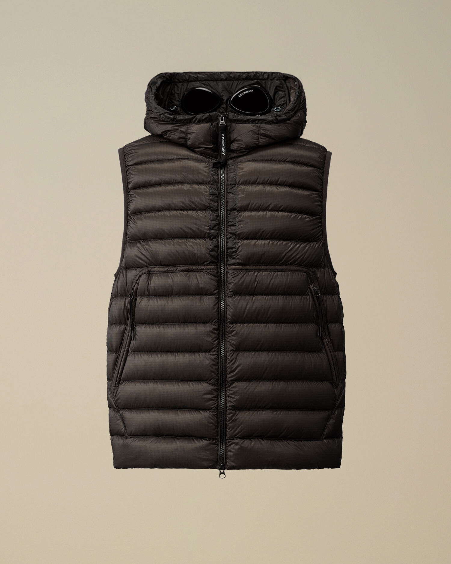 D.D. Shell Goggle Down Vest - 1