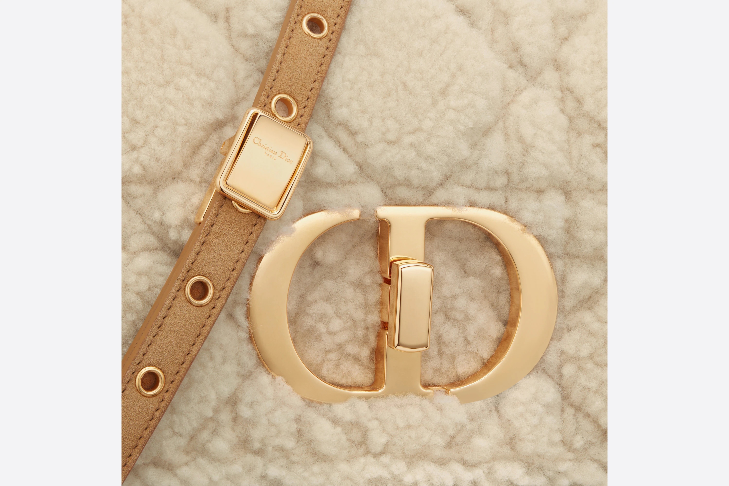 Medium Dior Caro Bag - 6