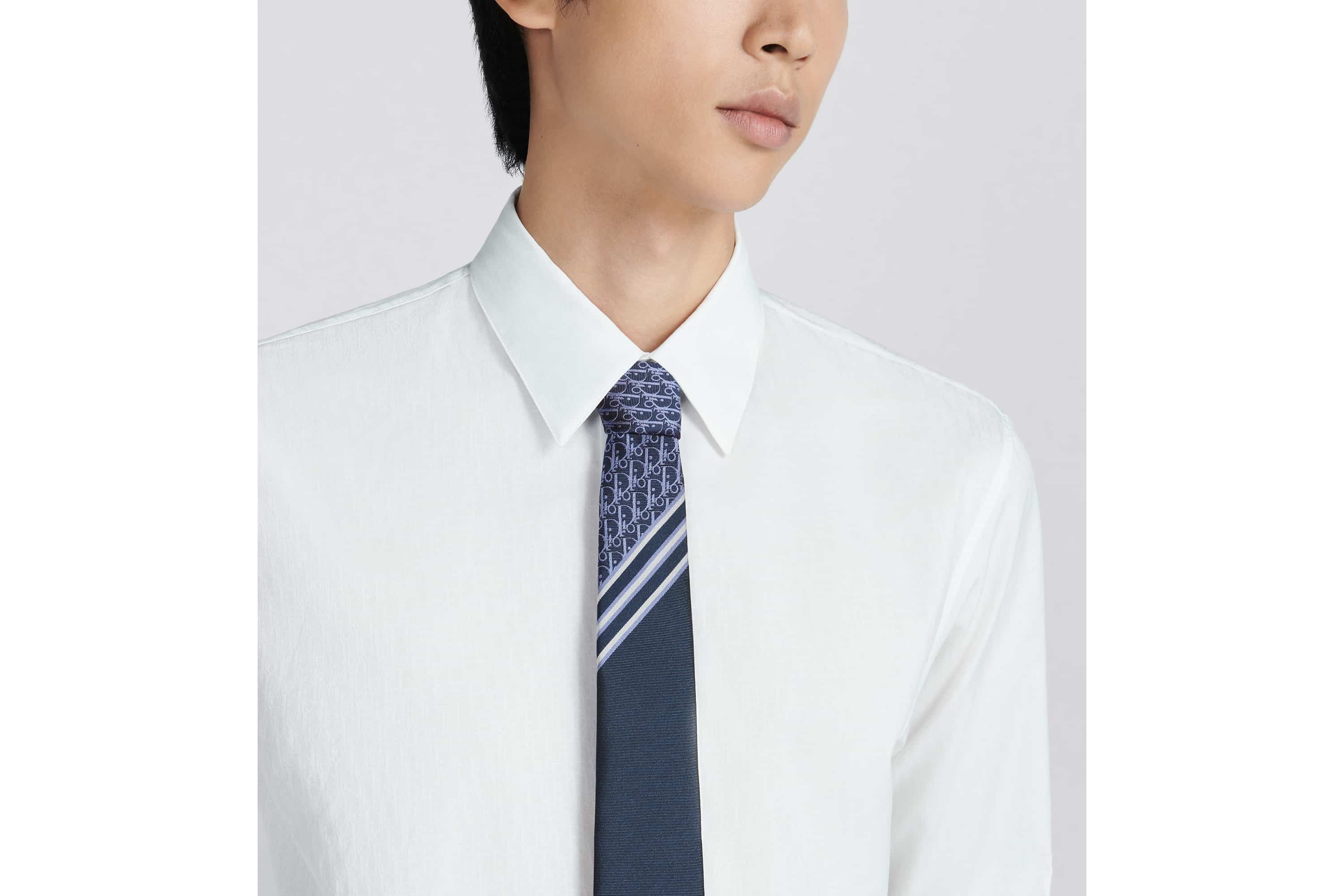 Striped Dior Oblique Tie - 5