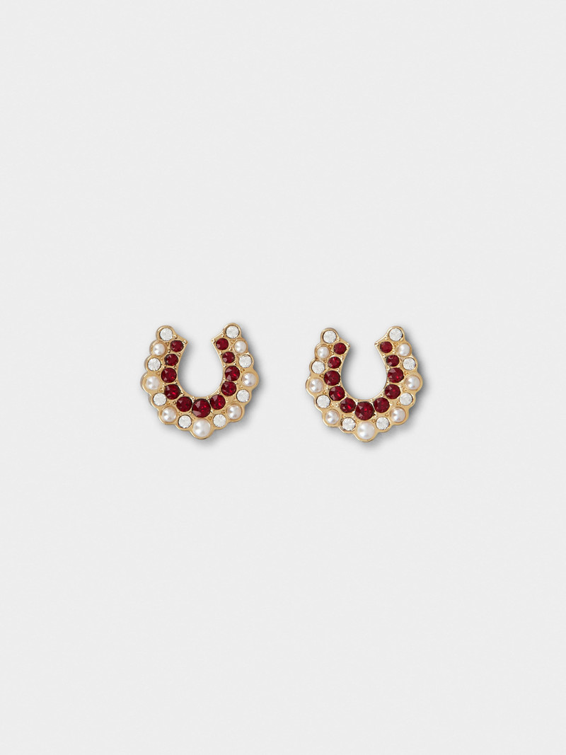 Earrings 1