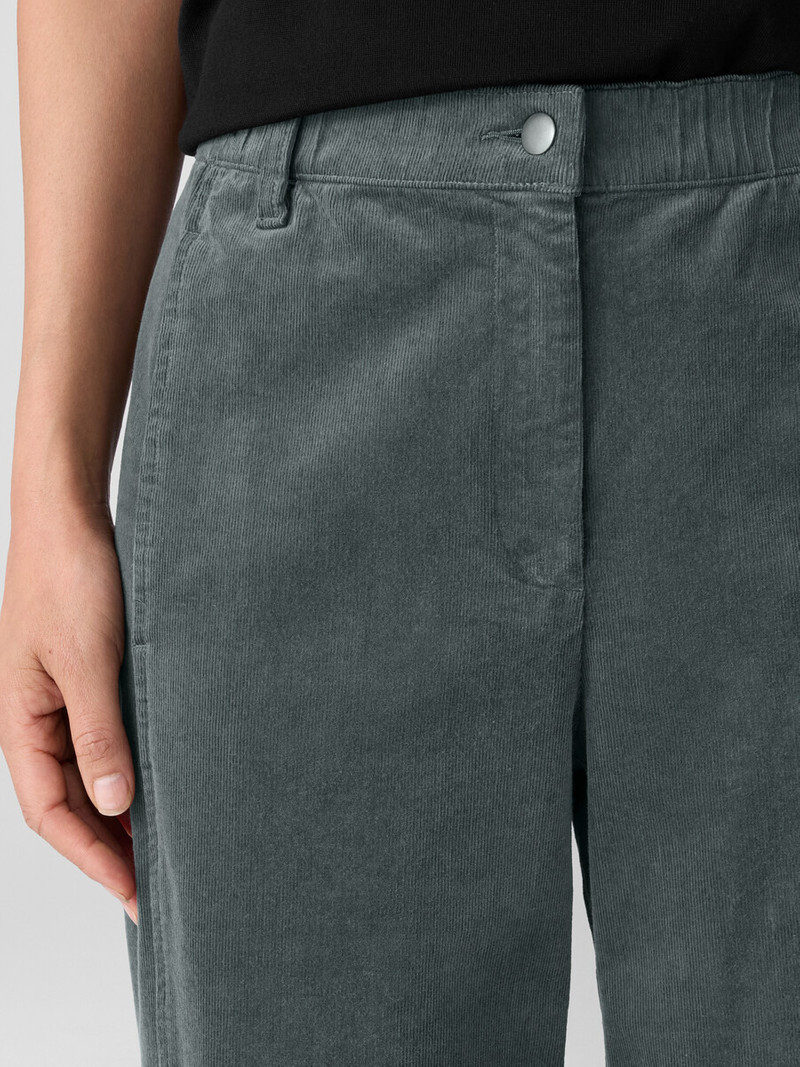 Organic Cotton Stretch Corduroy Lantern Pant 5