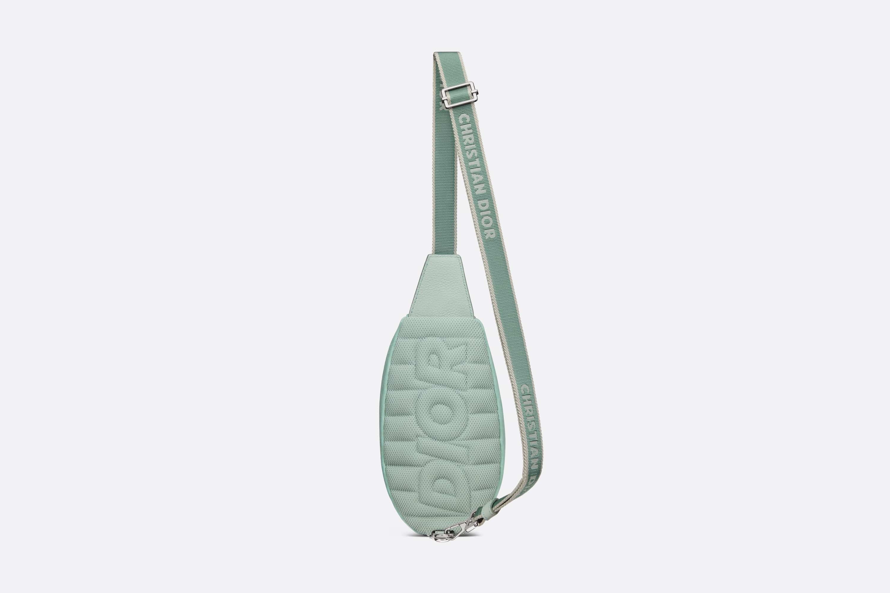 Mini Dior Scarab Bag 4