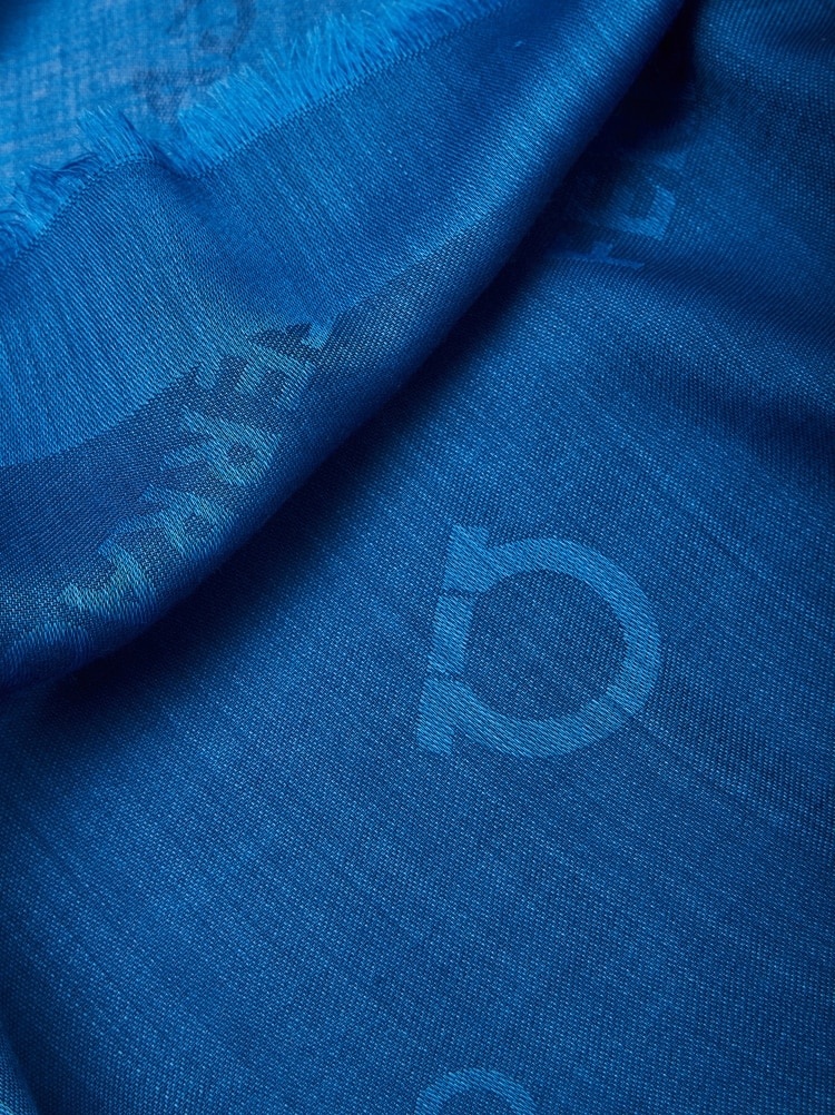 LOGO SHAWL - 2