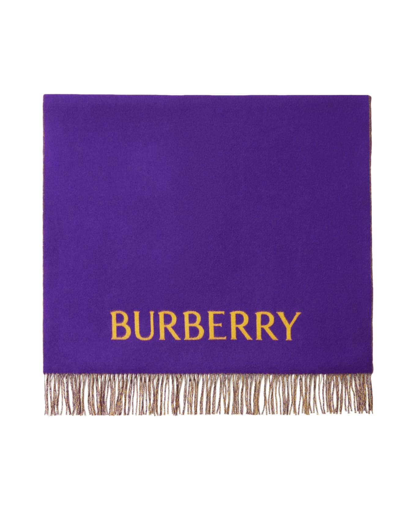 Logo Embroidered Fringed-edge Scarf - 2