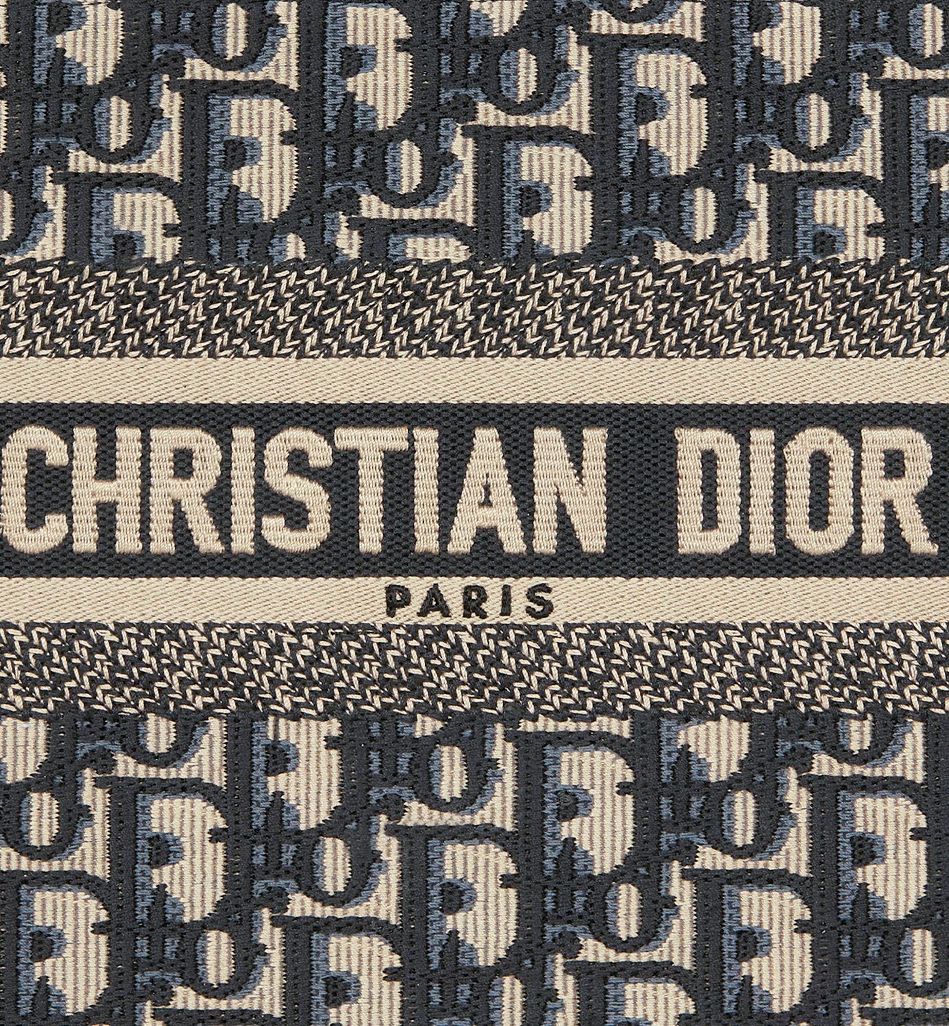 Small Dior Book Tote - 8