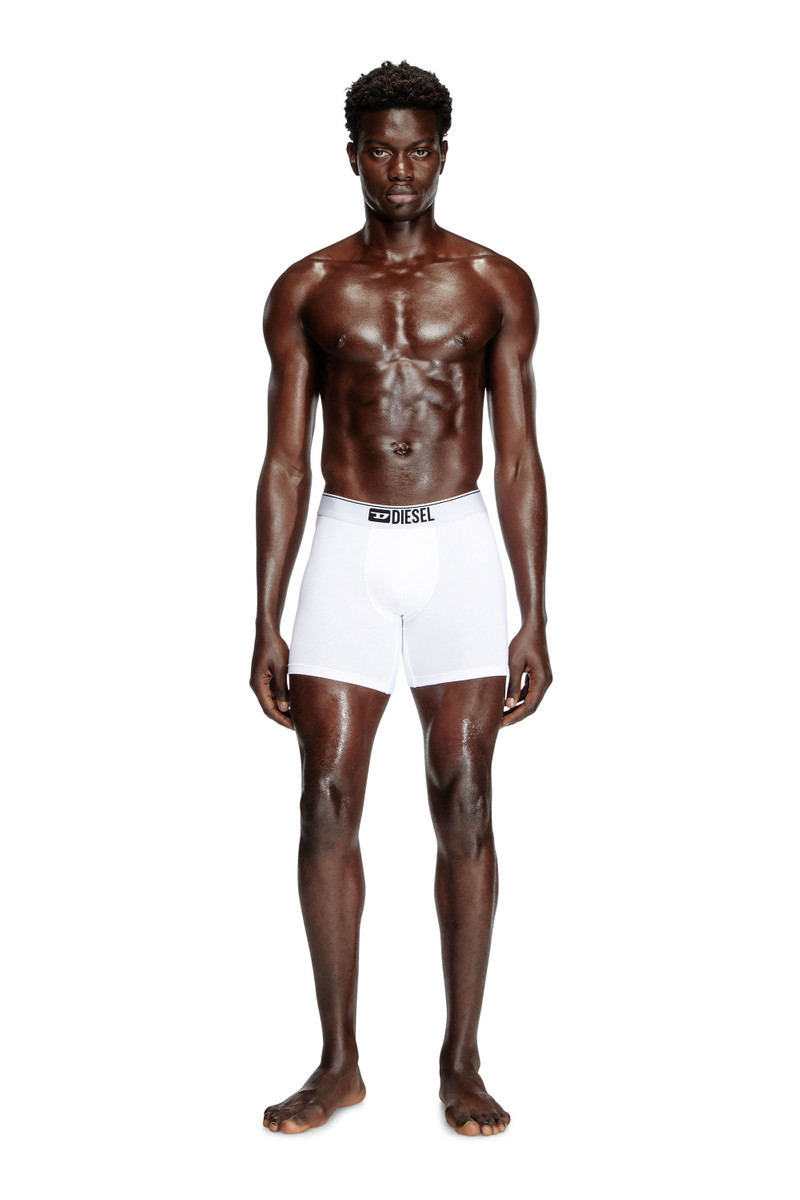 Diesel MAX-3PACK outlook