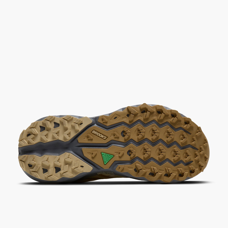 Cascadia 19 7