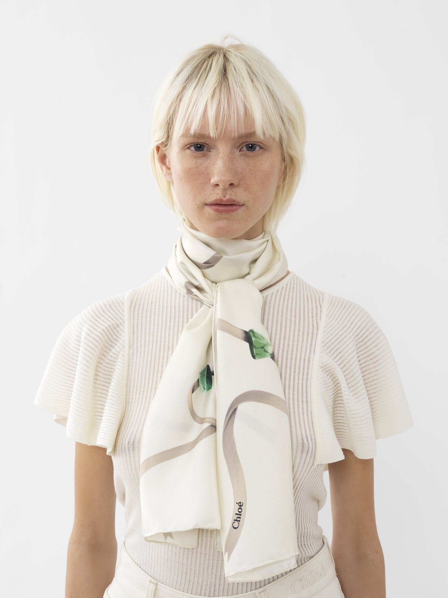 ZODIAC EARTH PRINTED SCARF 3