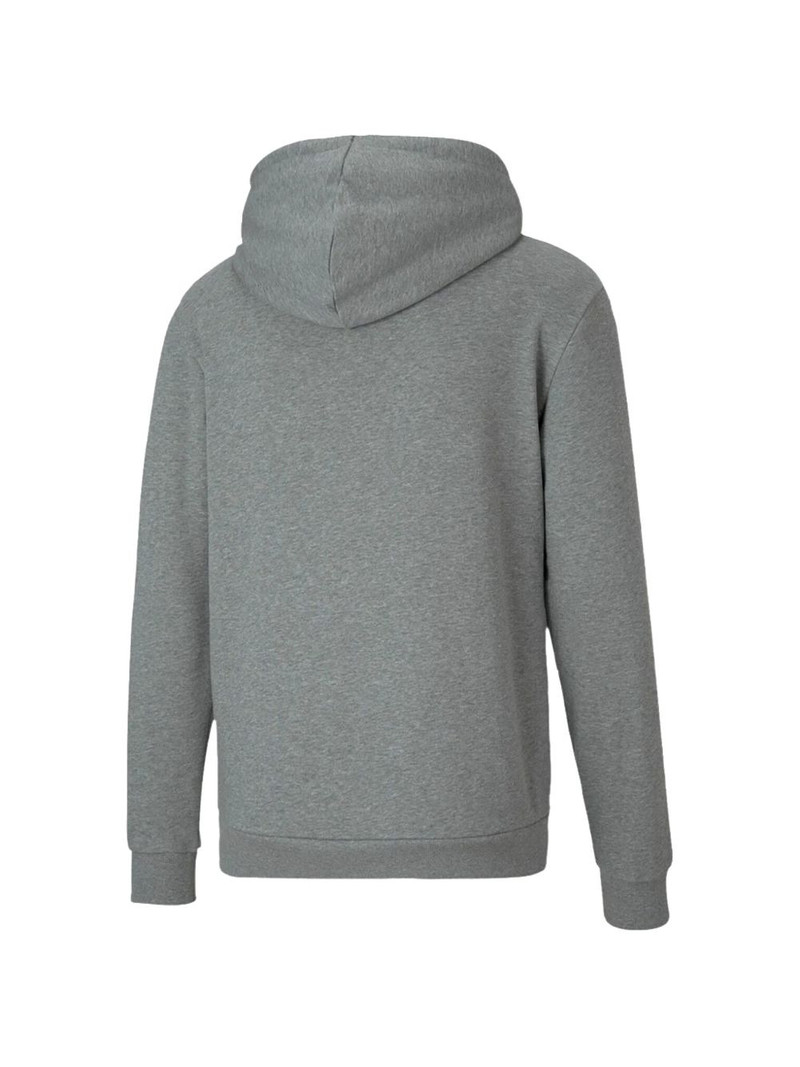 PUMA Teamgoal 23 hoodie outlook