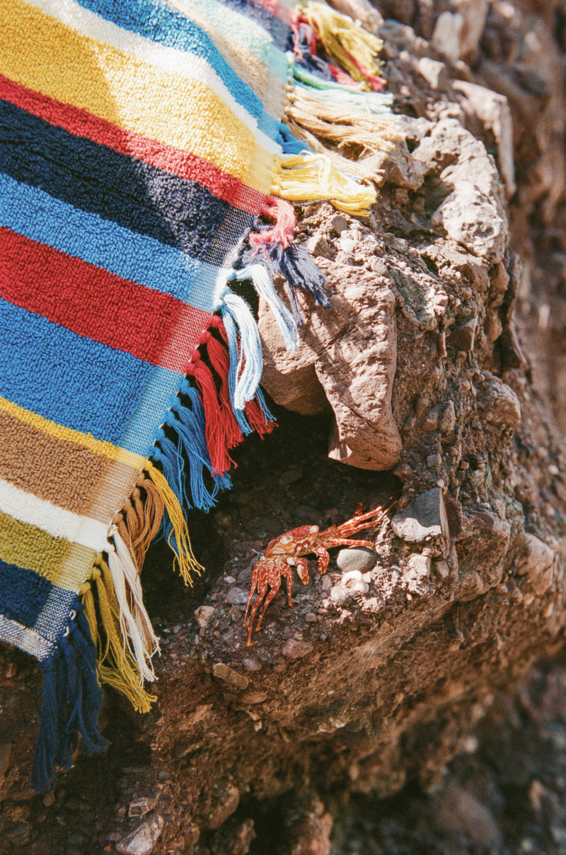 STAUD BEACH TOWEL MARKET STRIPE 5