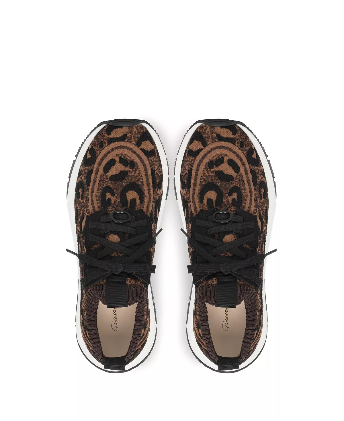 Gianvito Rossi Women's Glover Low Top Sneakers