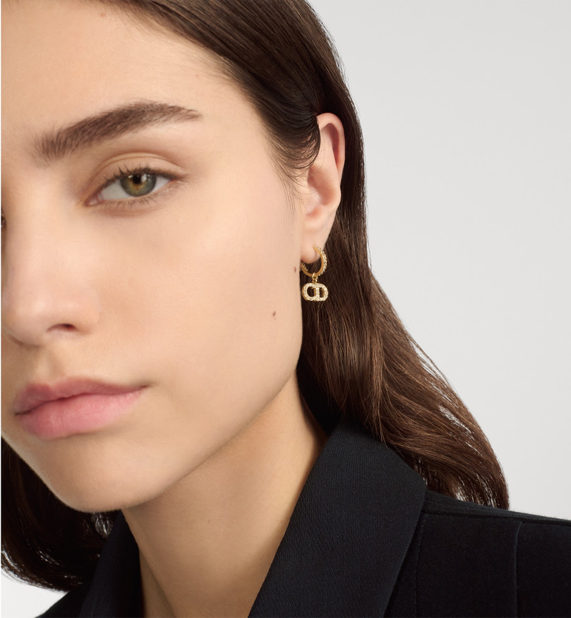 Dior Clair D Lune Earrings outlook