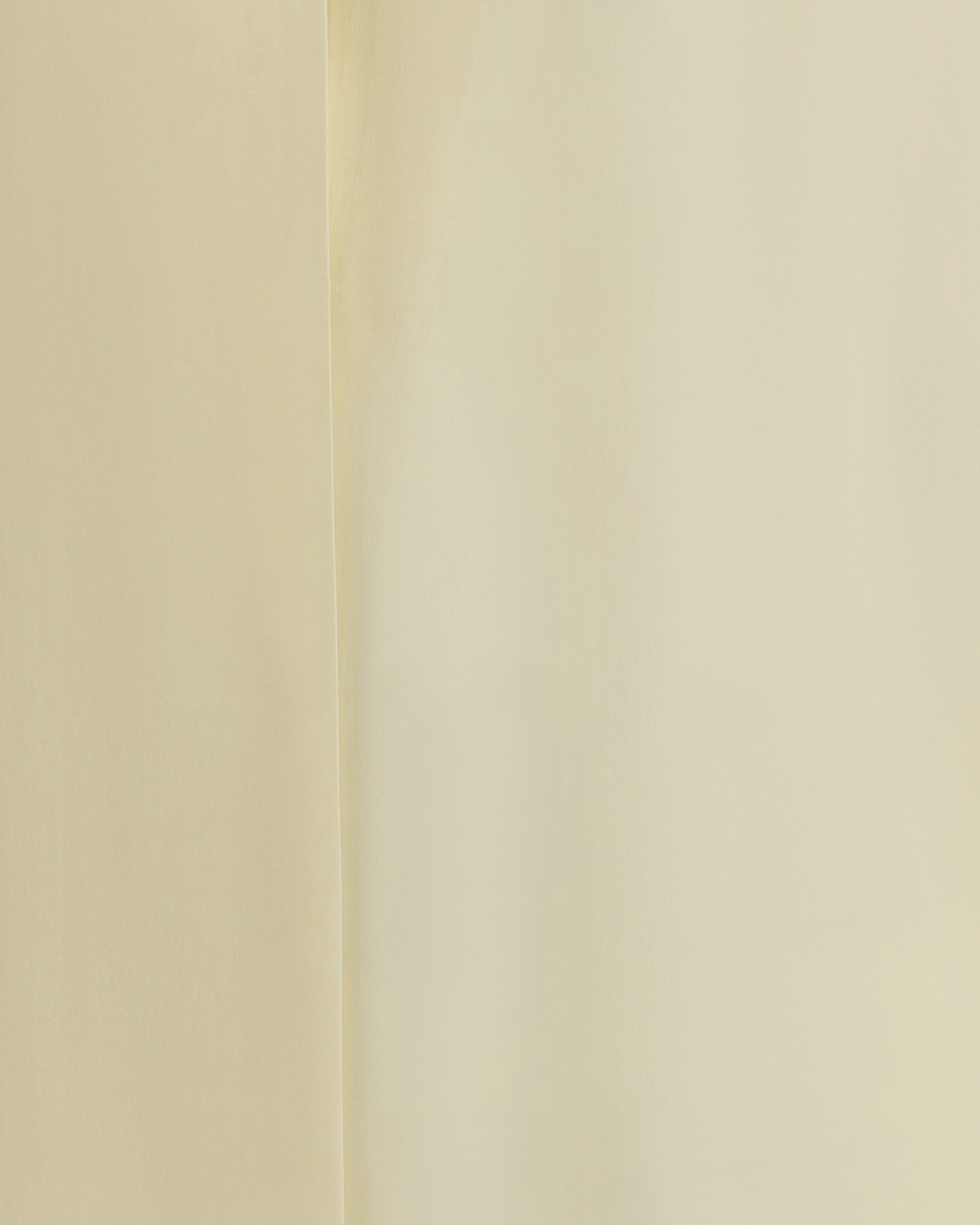 Silk georgette Blouse - 3