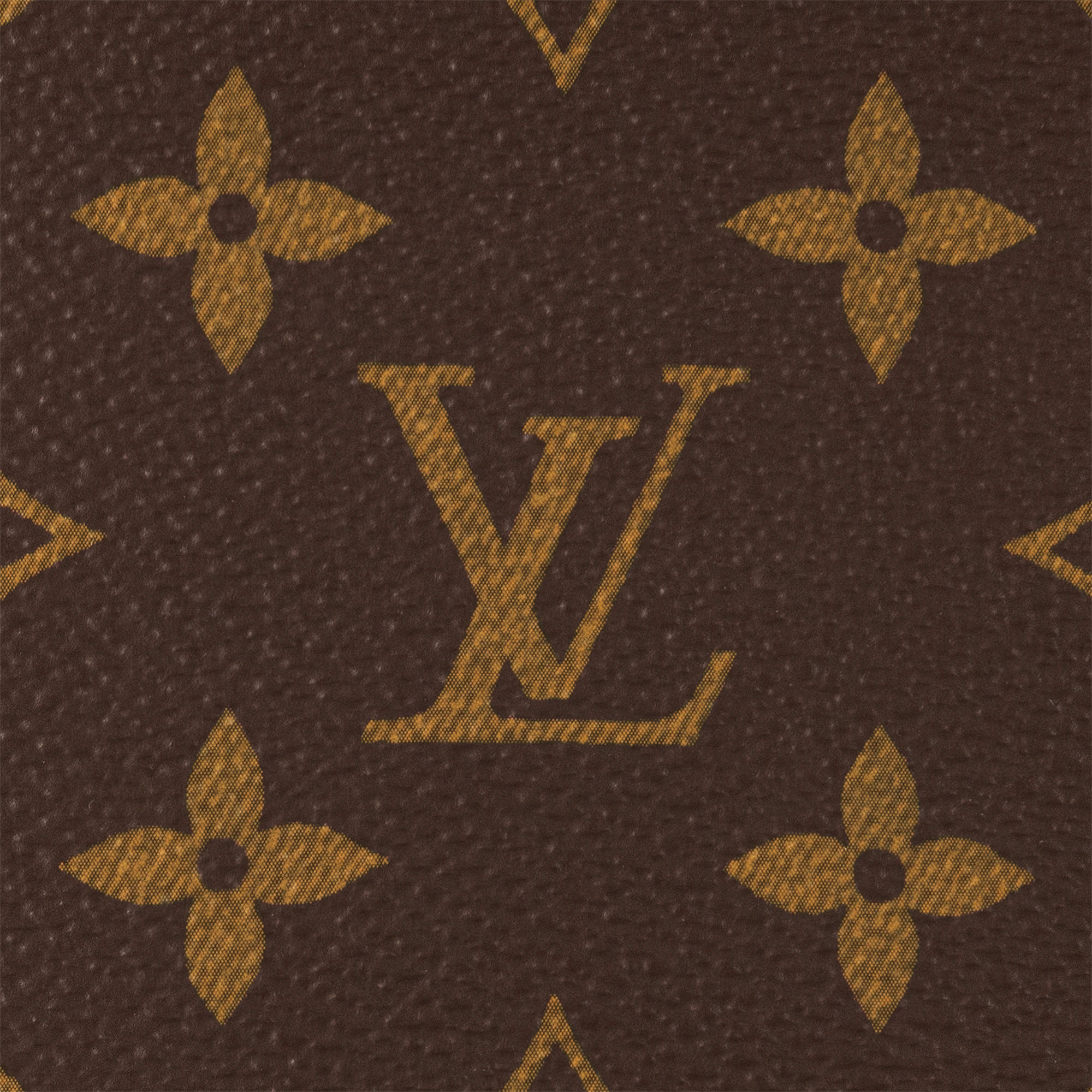 Vivacité - 6