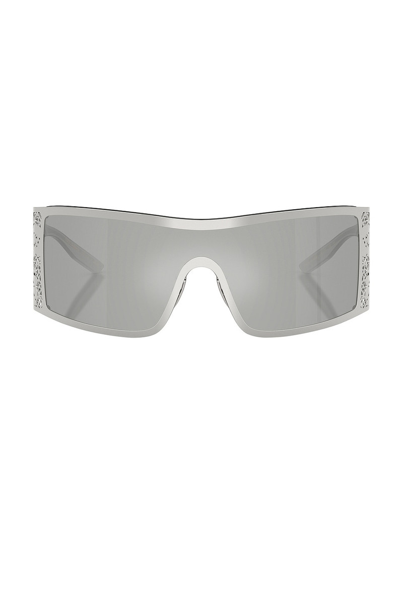 Shield Sunglasses 1