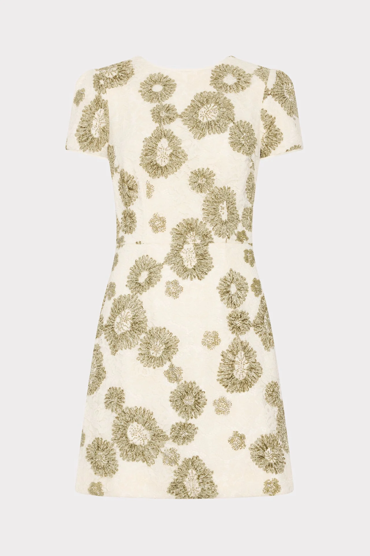 Daisy Embroidered Mini Dress - 1