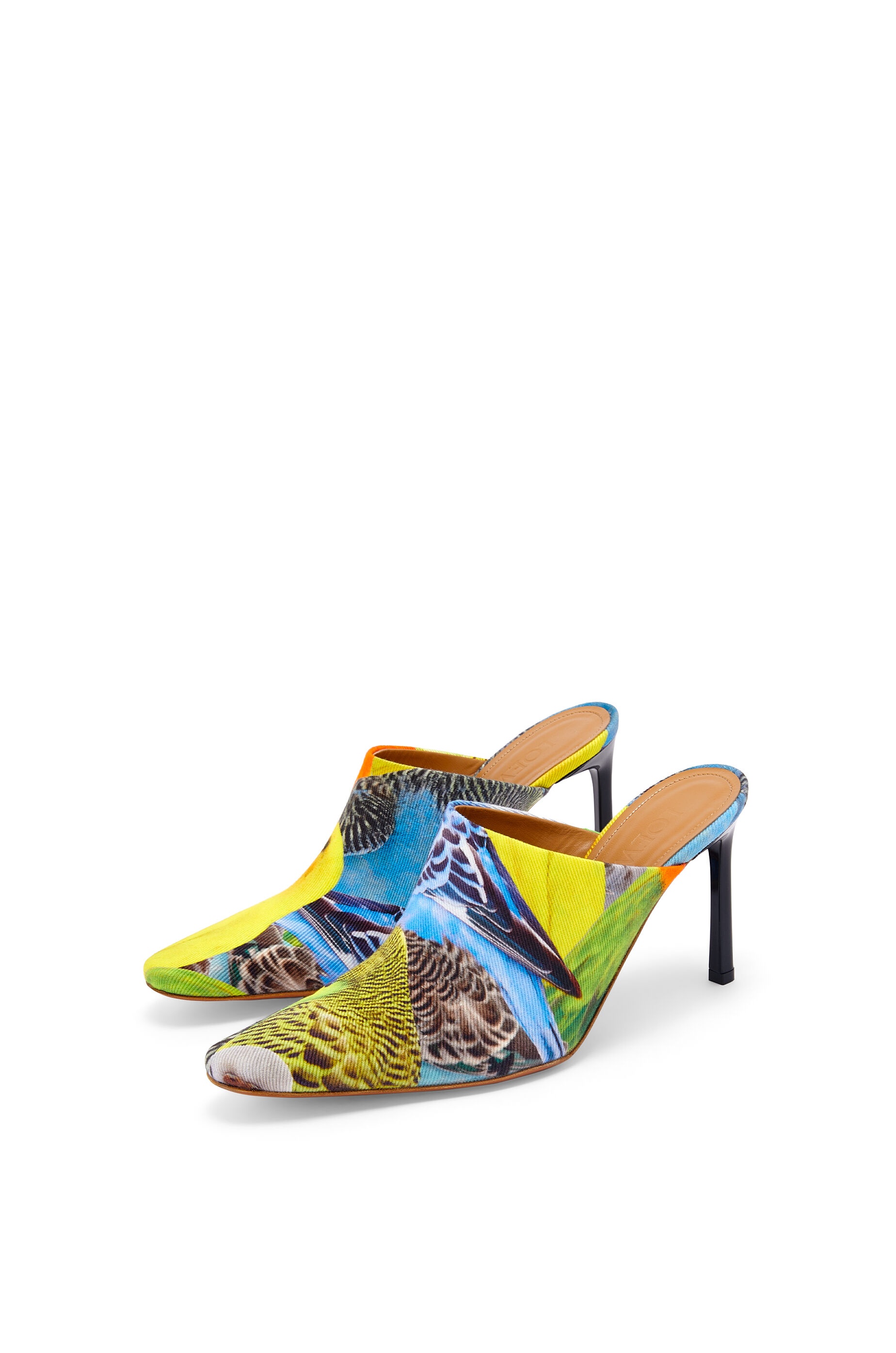 Parrots mule in canvas - 2
