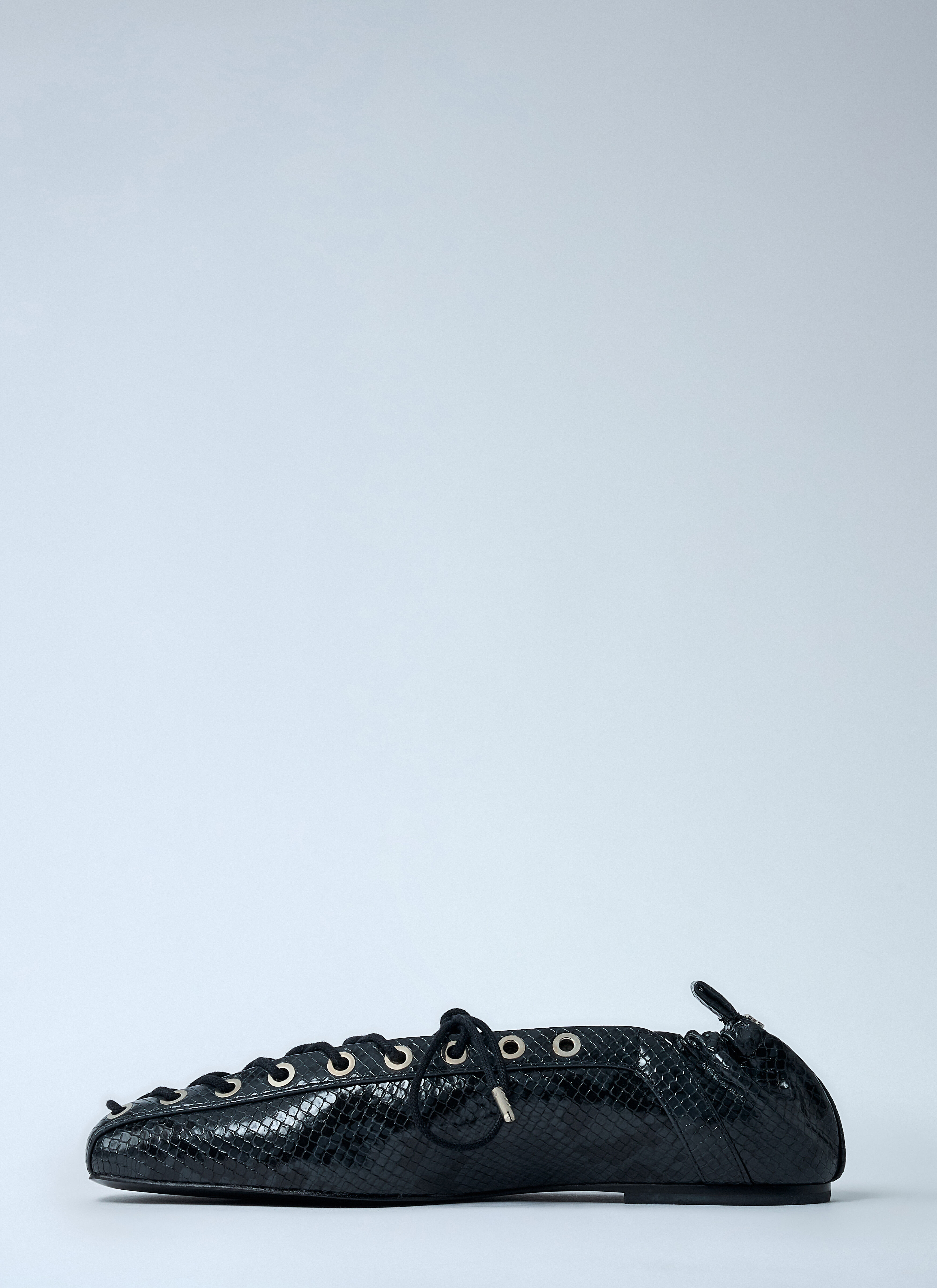 Eyelet Lace-Up Ballerina Flats - 4