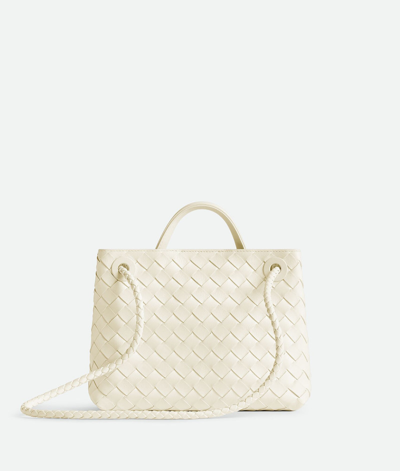Bottega Veneta Small Andiamo outlook