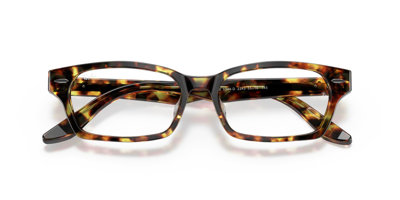 Ray-Ban RB5344 OPTICS outlook