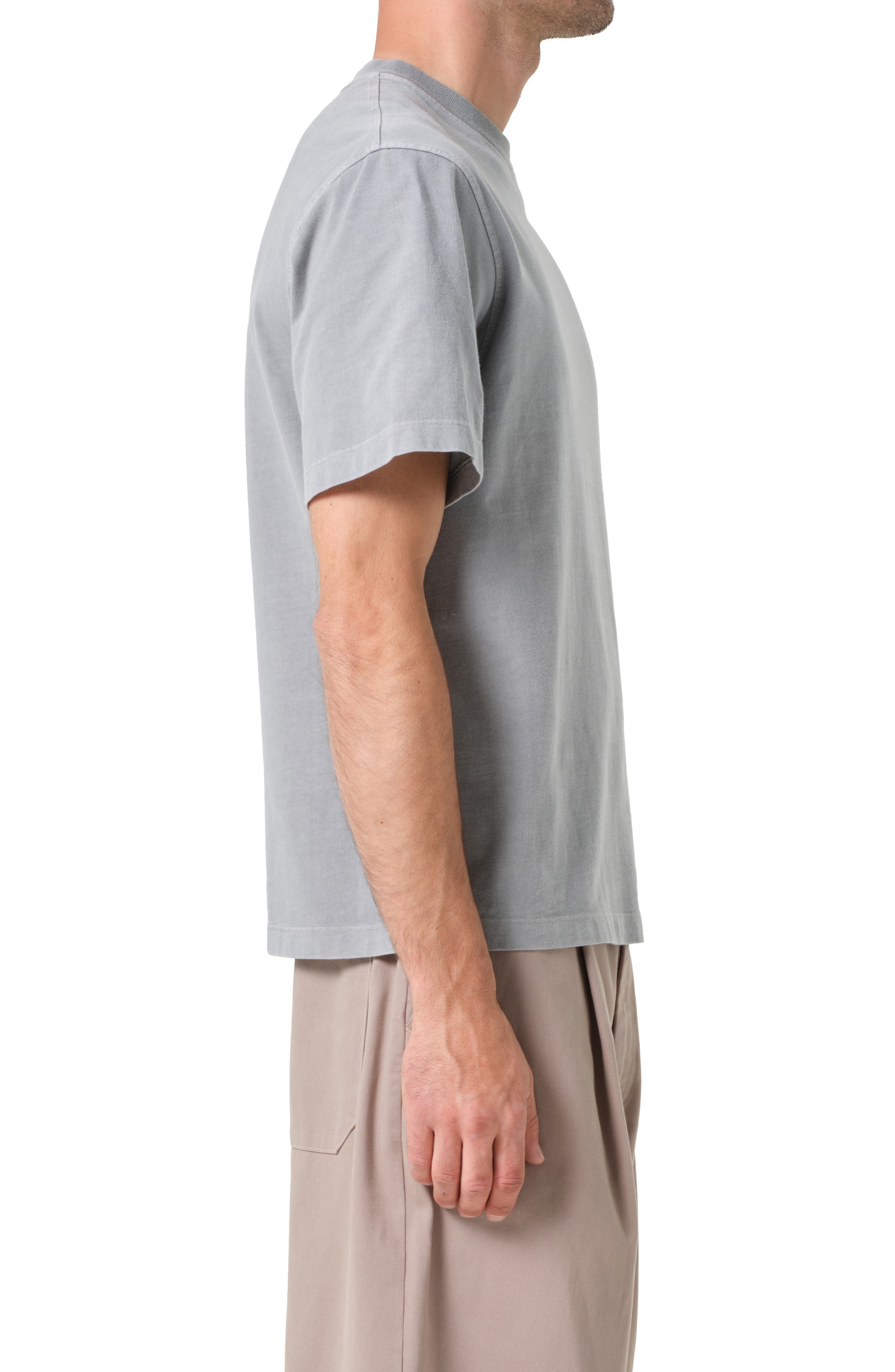 AGOLDE Asha Crewneck T-Shirt in Patagonia at Nordstrom - 3
