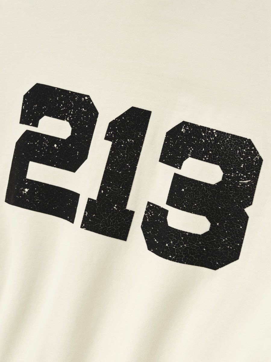 213 Chapter Hoodie - 4