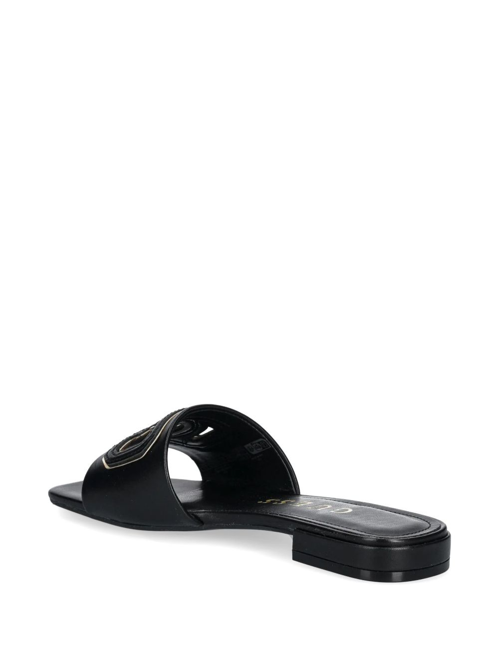 Tarisha slides - 3