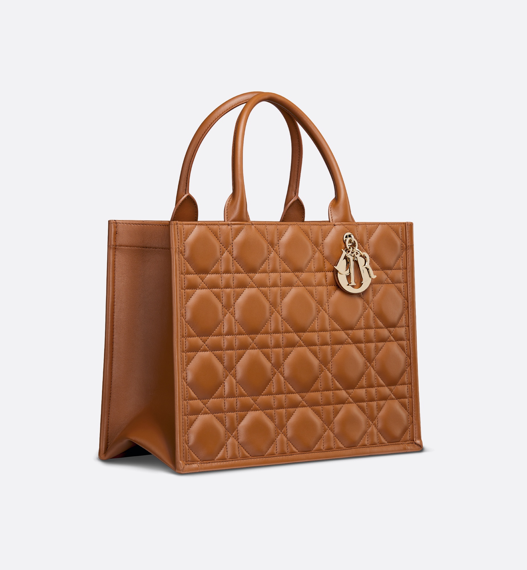 Medium Dior Book Tote - 3