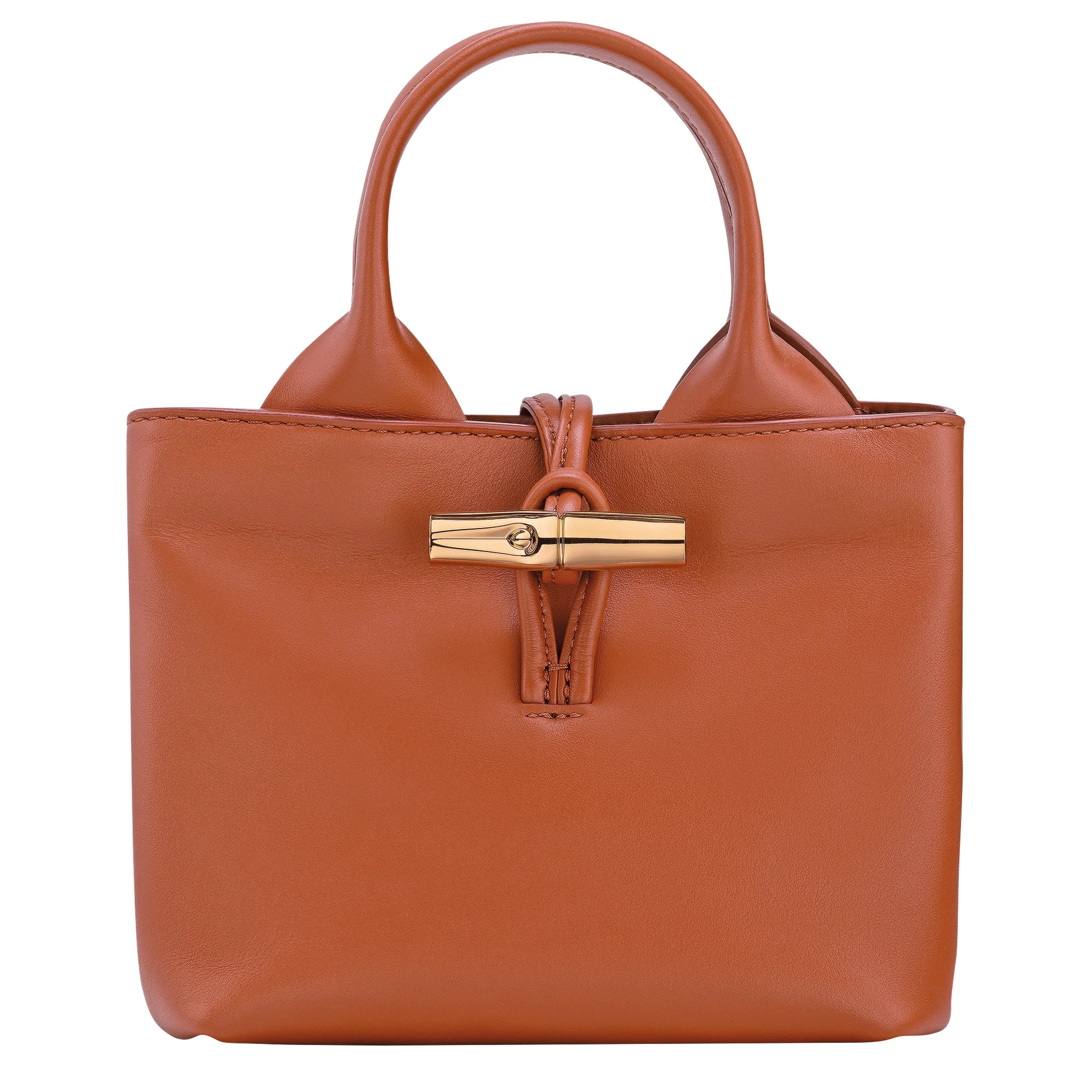 Le Roseau XS Handbag Bark - Leather - 1