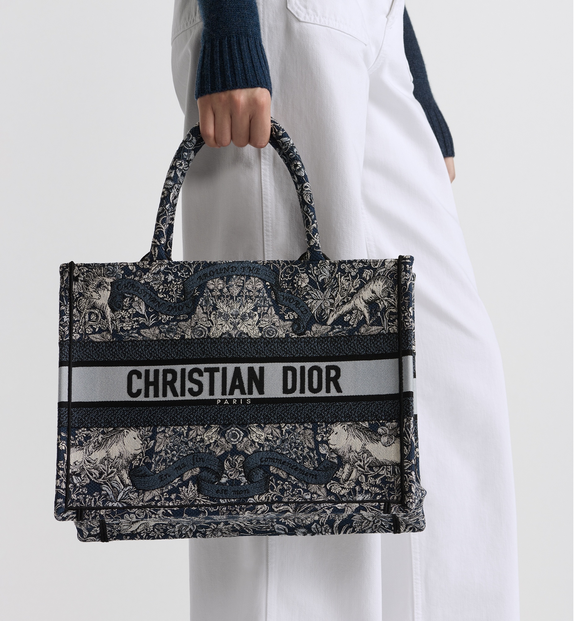 Medium Dior Book Tote - 2