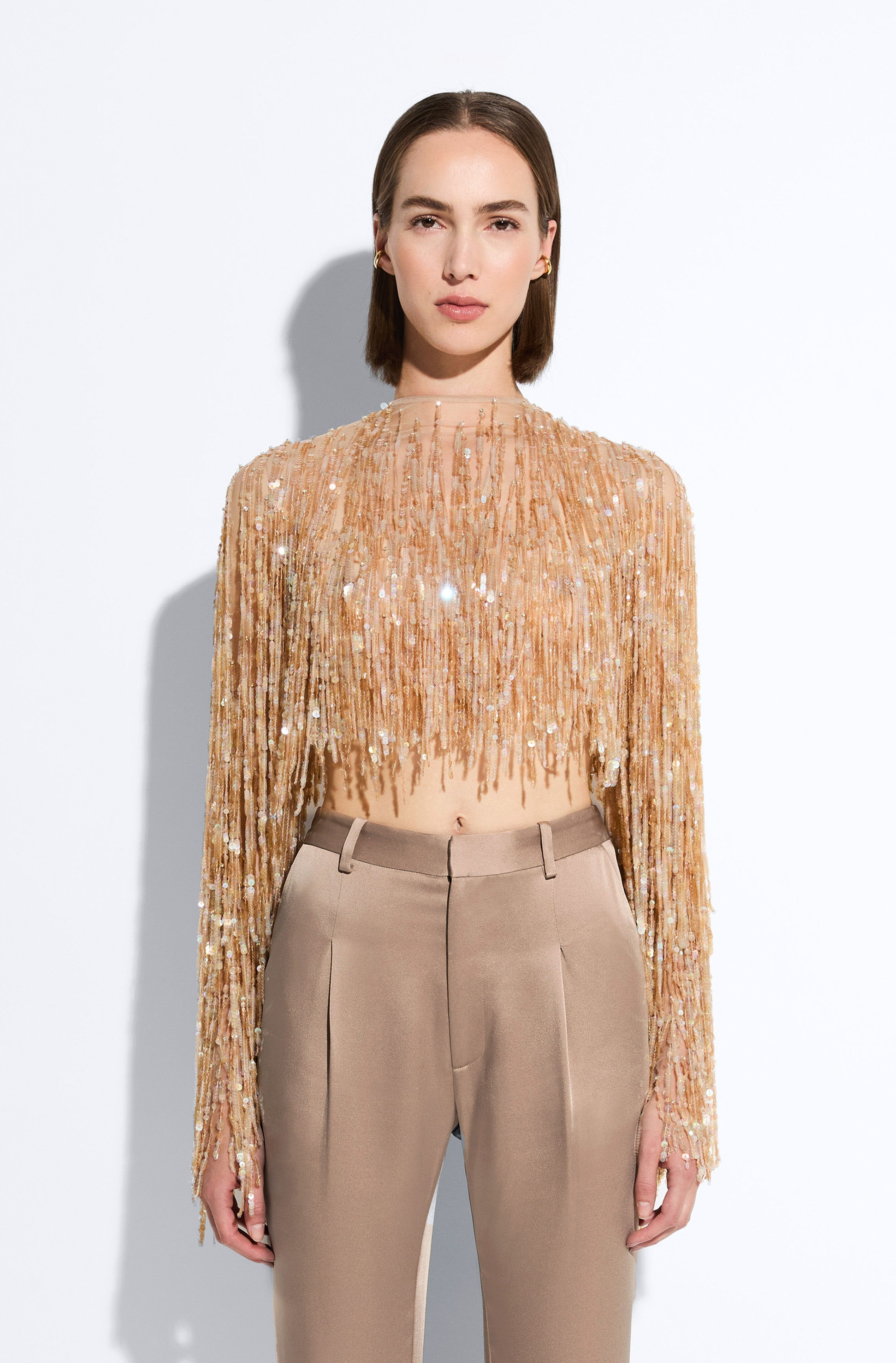 Fringe Sequin Cropped Top - 2