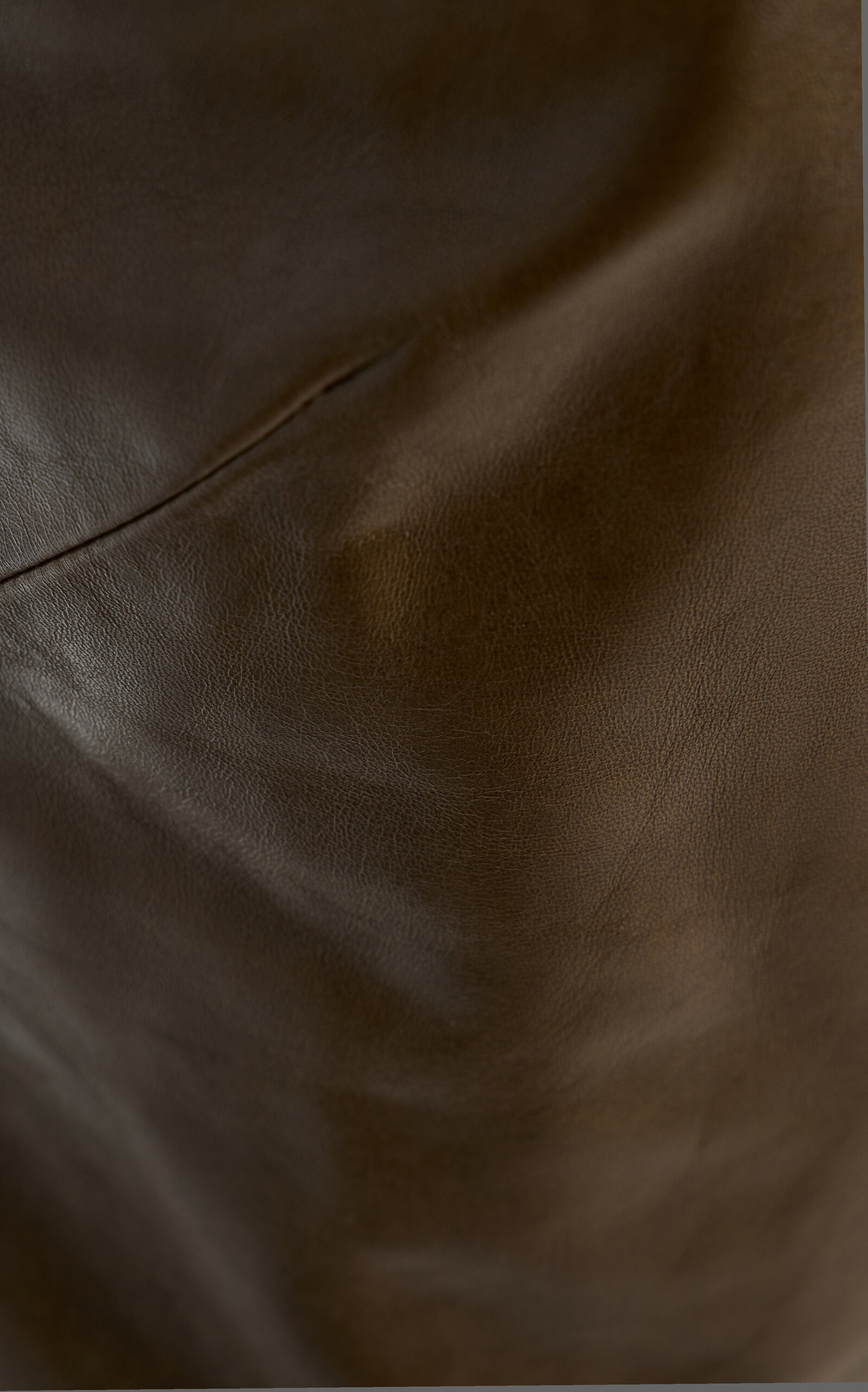 Juji Leather Top green - 5