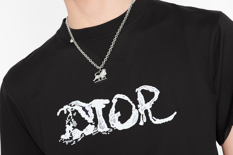 Oversized DIOR AND PETER DOIG T-Shirt 4