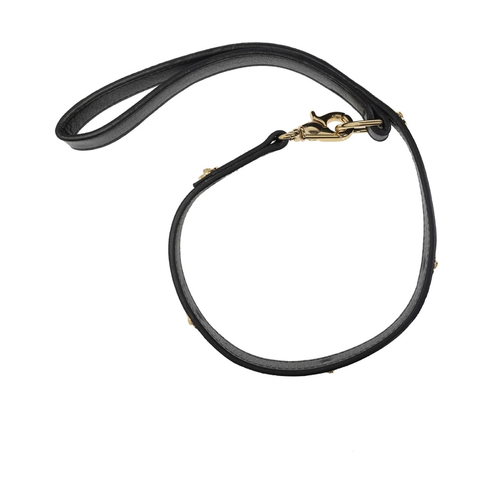 DOG LEASH - 3
